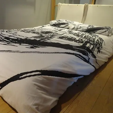 Low Cost Cinema Apartment